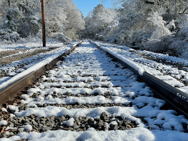 train to the alps