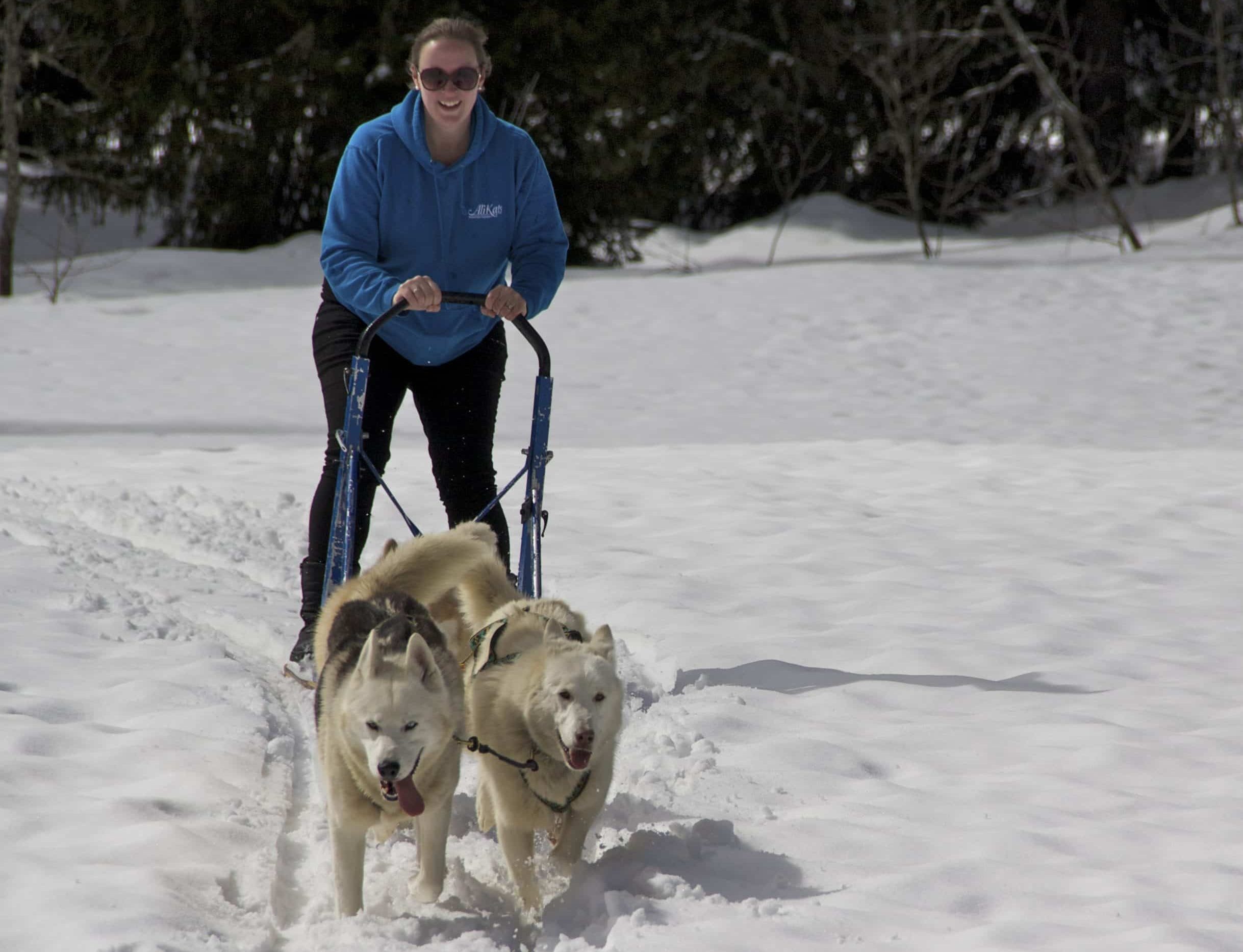 Luge à neige, 'Mushing', Avoriaz Freance